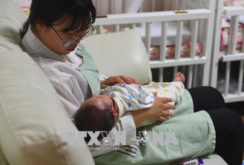 Lười sinh con - vấn đề xã hội đáng lo ngại của Hàn Quốc ảnh 1